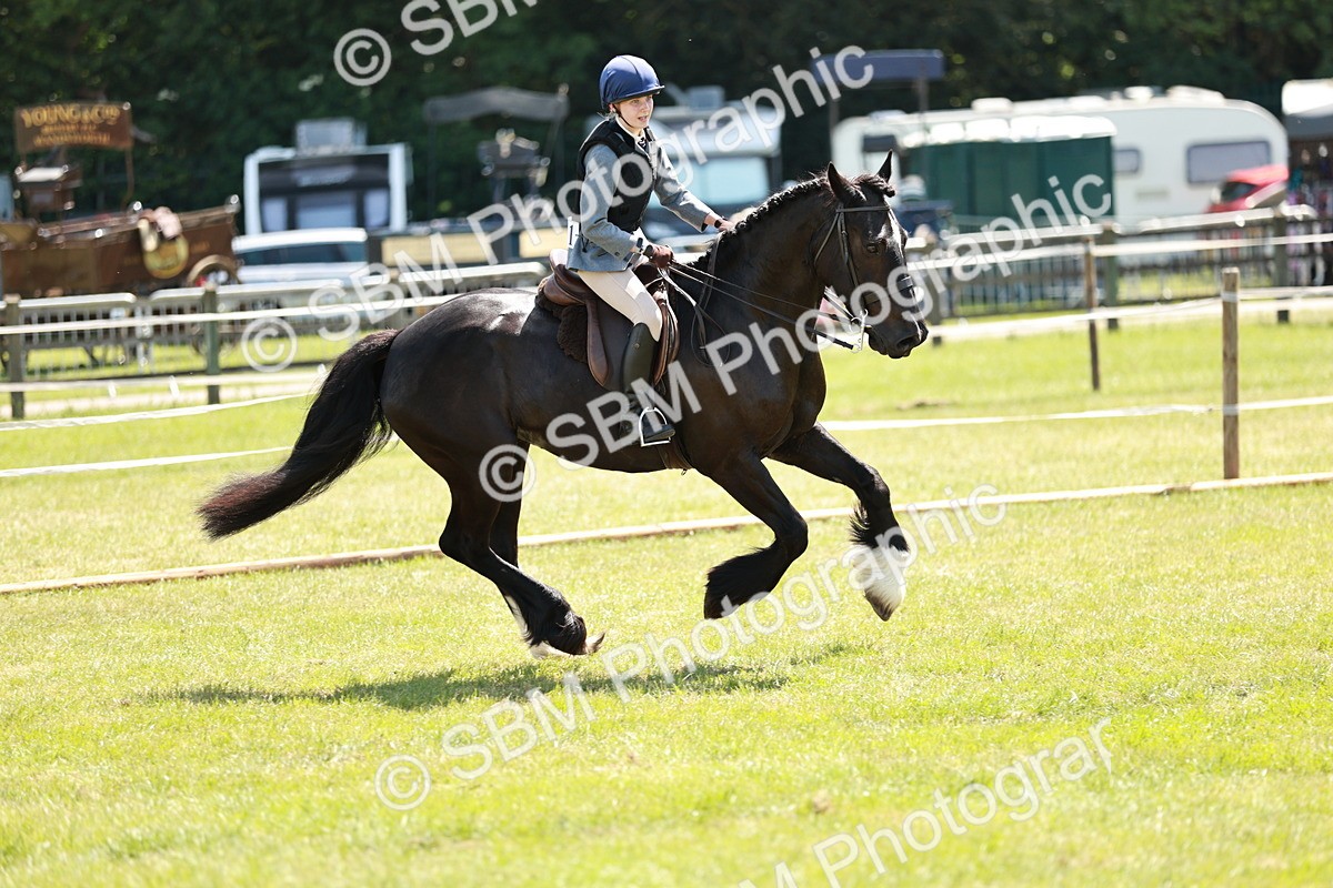 SBM_16398 - Class 110-111 - Training Stakes (70cms 80cms)