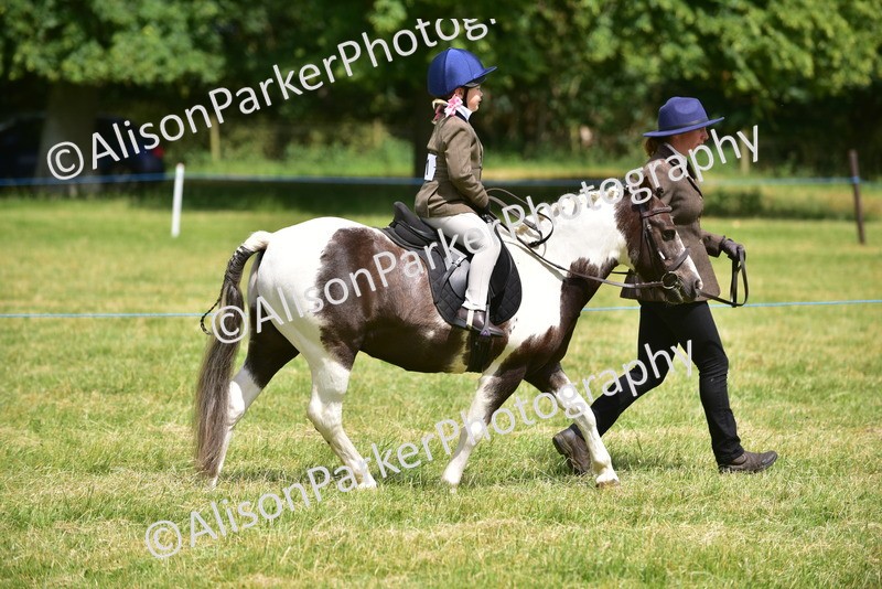 20260614-1369 - Class 11b - Lead Rein Pony (Plaited)