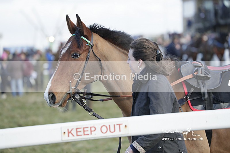 PtP 260223 999 - South & West Wilts Point-to-Point Larkhill 26/02/23