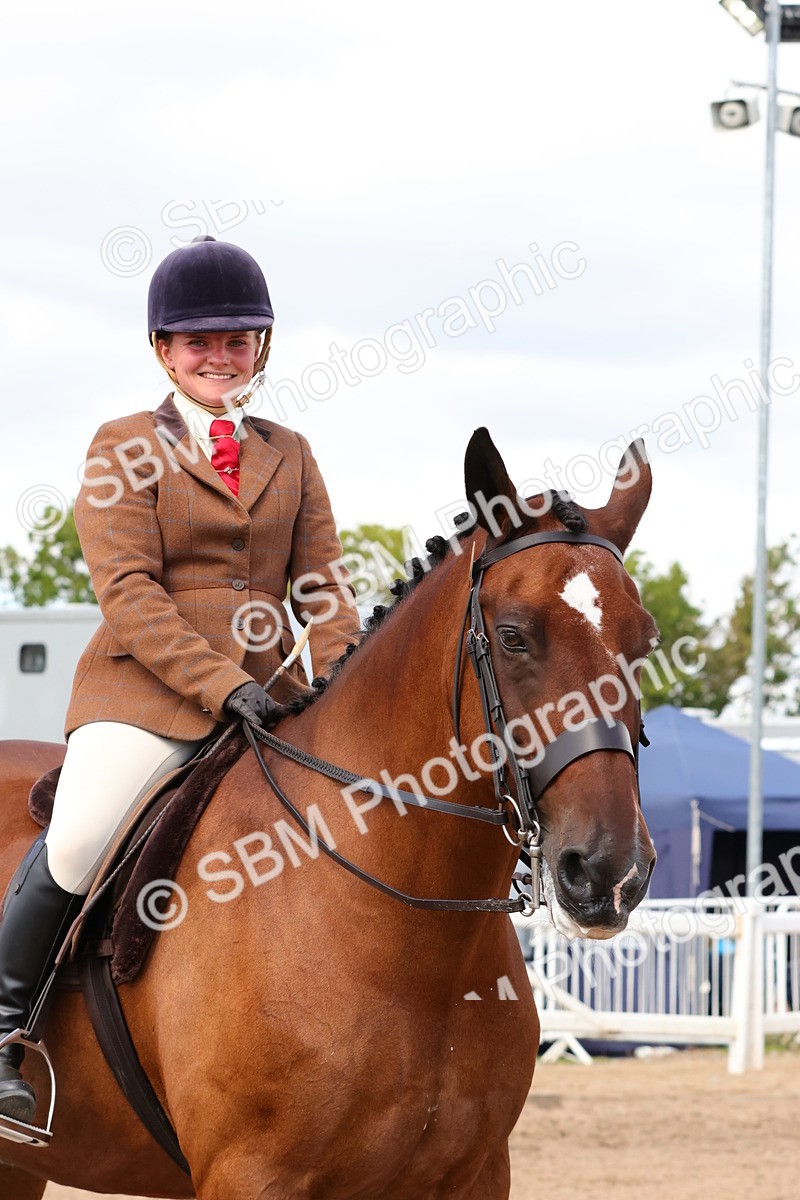 SBM_13546 - Class 212 - Ridden Hunter  - Large