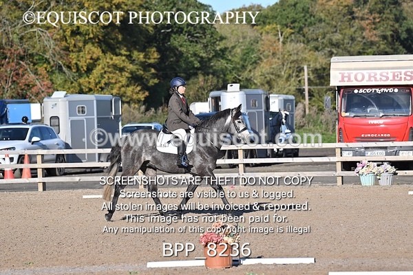 BPP_8236 - SHORT ARENA