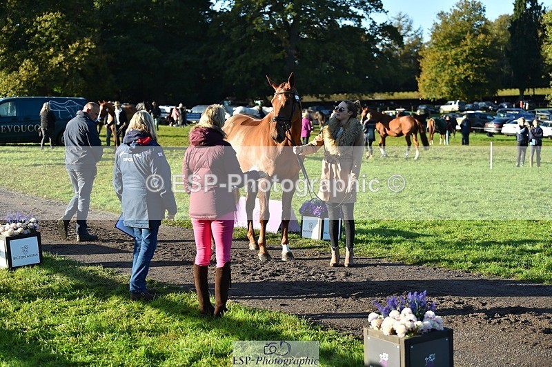 231022-092944-21828 - 682-DOOLIN.DE.REVE-Jasmine.Holmes-TrotUp+SJ