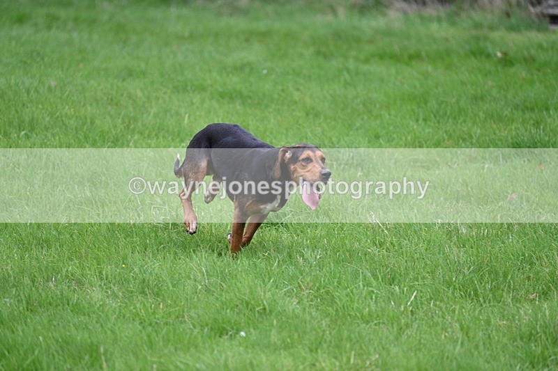 WJ7_4322 - Camera 1 Line 3