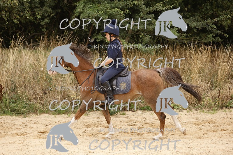 _R6A0964 - Sand arena