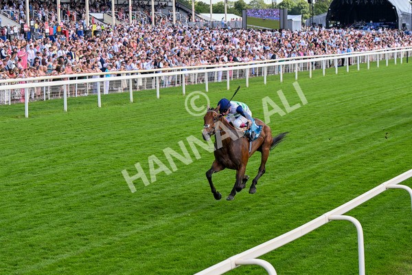 280625-Race 5-Turquino-0470 - Race 5 4.15pm Al Basti Equiworld Dubai Handicap