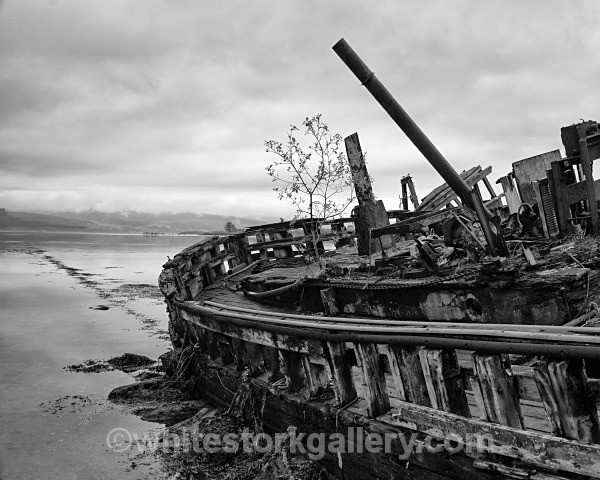 Isle of Mull - Scotland: Black and White