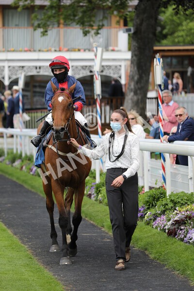 yr12062021r1-31 - Race 1 2.00pm Queen Mother's Cup