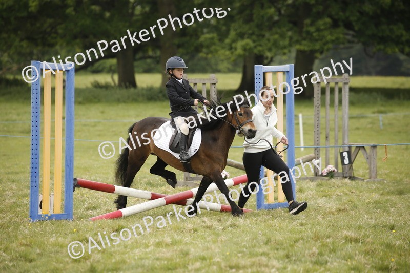 20250517-0096 - Class 1 - 30cm On Lead Rein