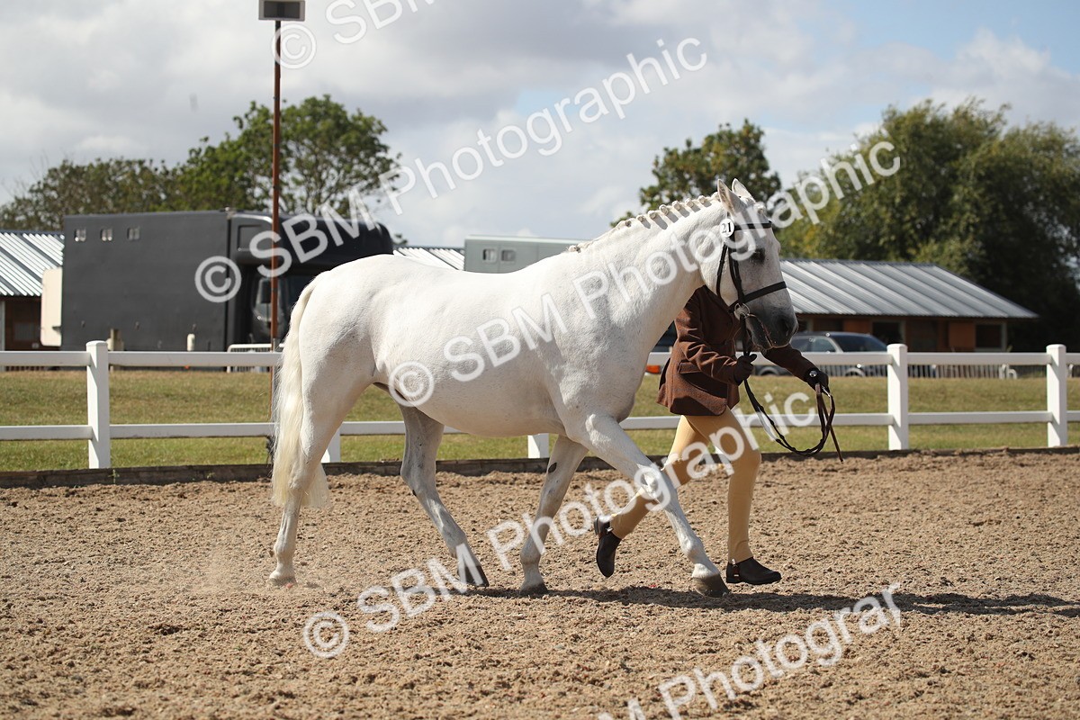 SBM_23526 - Class 605 - 2026 - Area - IH Veteran