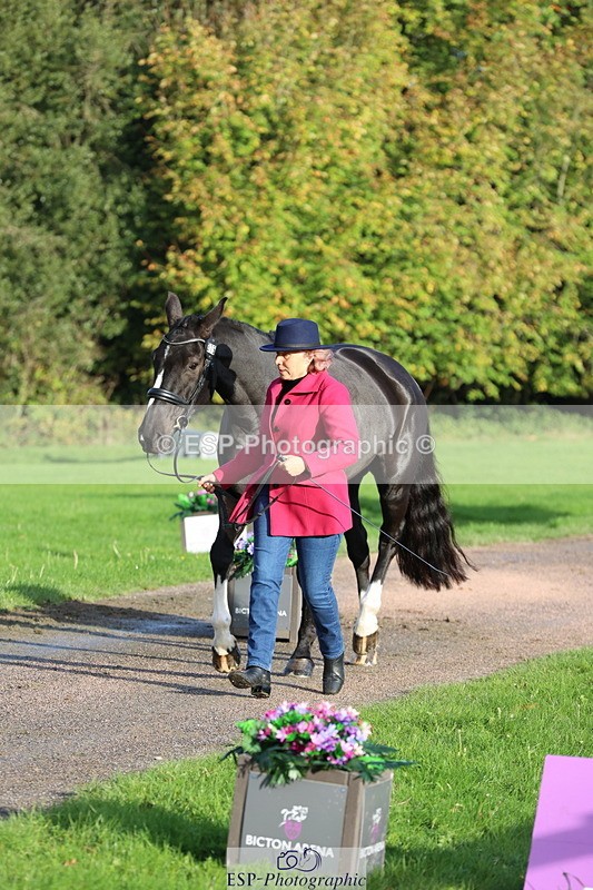 251026A-095339-22557 - D-315-Georgina.Marks