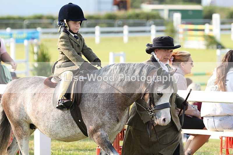 JPP_0149 - Class 14: Cornish Combination Leading Rein