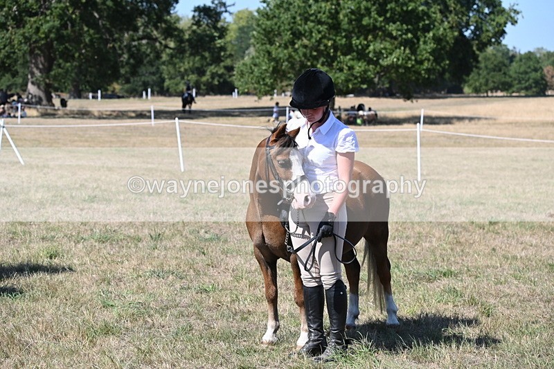 WJ6_9311 - Class 40 Cheekiest Pony/Horse