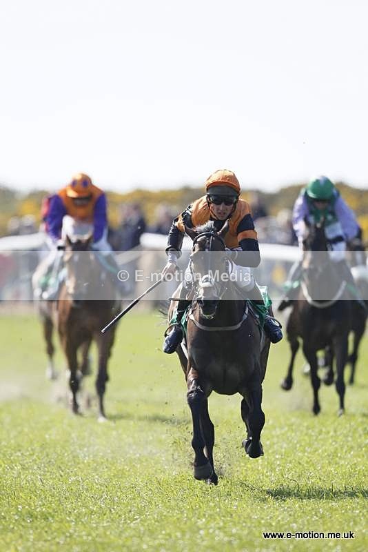  GRD 030510 159 - Guernsey Race Day 03/05/10