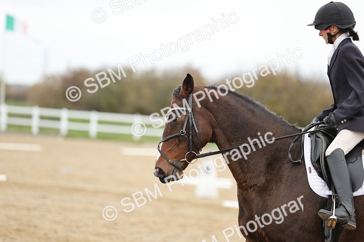 SBM_003799 - Class 9-12 - Novice 2 Elementary 3