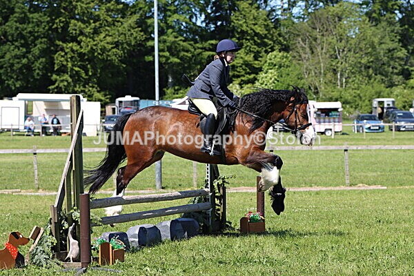 IMG_4069 - Working Hunter