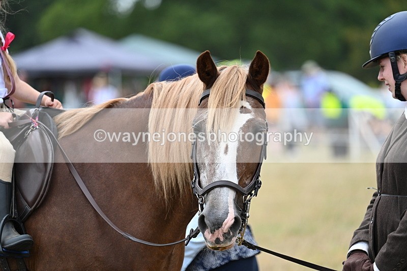 WJ7_4484 - Class 11 Family Mount