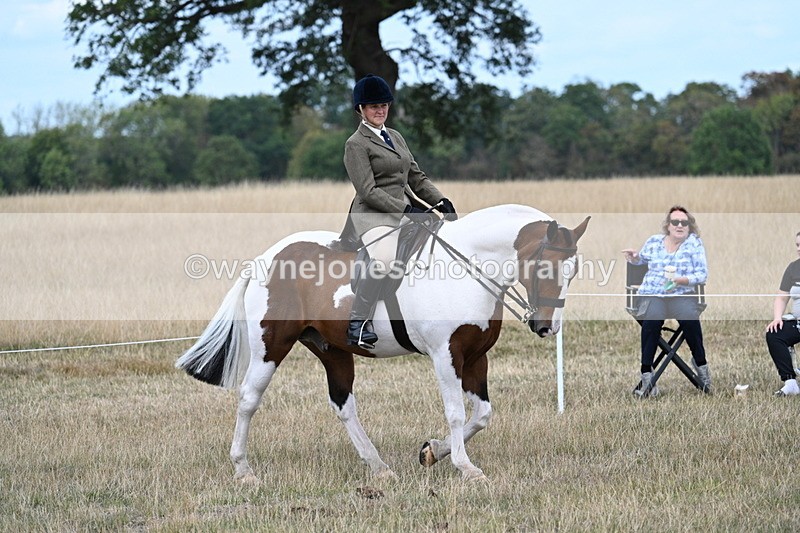 WJ7_5396 - Class 12 Ridden Cob