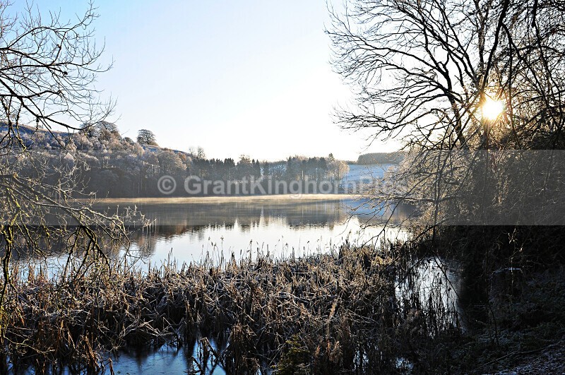 5 - Winter around Selkirk
