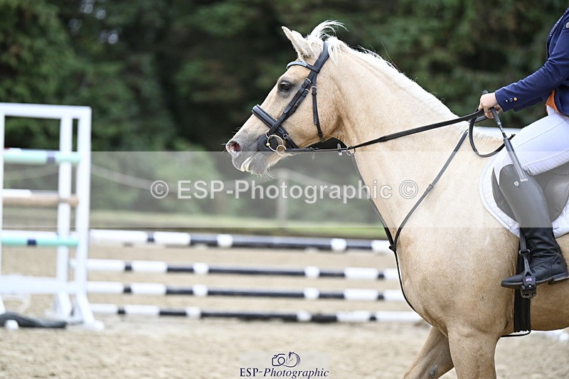 250830A-093539-05343 - Cls 21 British Novice and 90cm Open