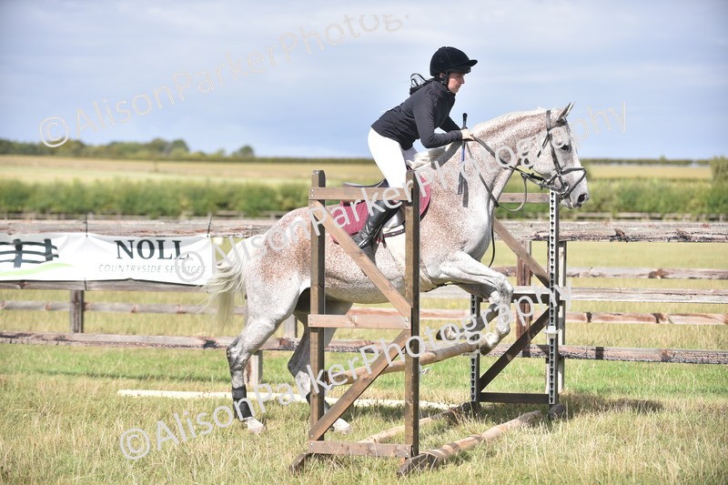 20260906-2685 - Class 13 - Working Hunter Horse or Pony