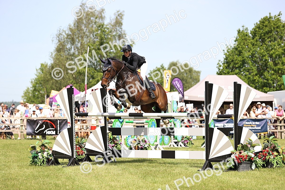 SBM_03217 - Class 201 - British Horse Feedds Speedi Beet HOYS Grade C