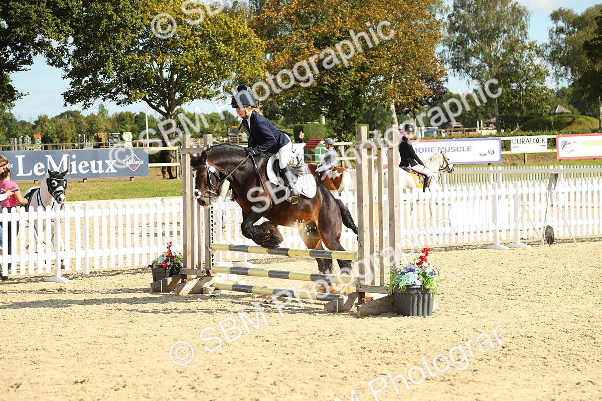 SBM_49506 - J7 - Junior Pony 60cm Championship