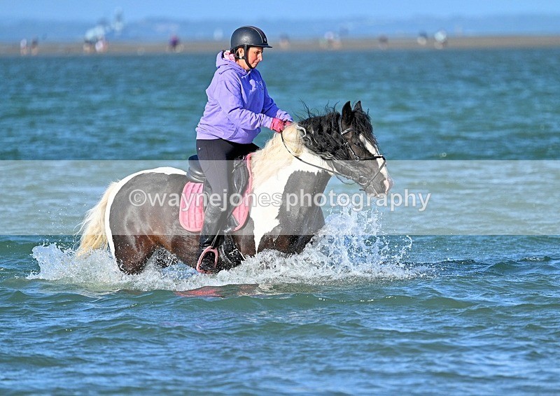 WJ7_3503_1 - Kellie & Churchill ... do Hayling Island 25-08-24