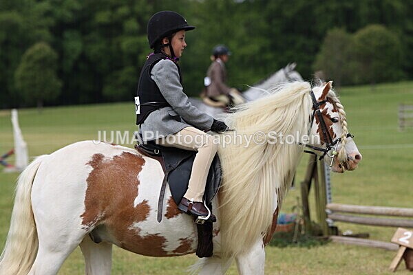 IMG_2605 - Working Hunter