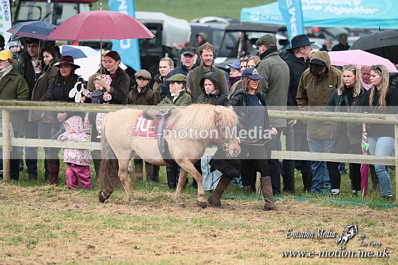 SHETPR 210425 52 - Shetland Ponies Paxford Races 21/04/25