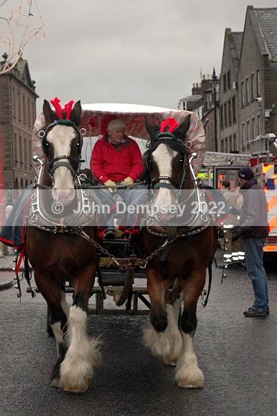  - Christmas in Montrose