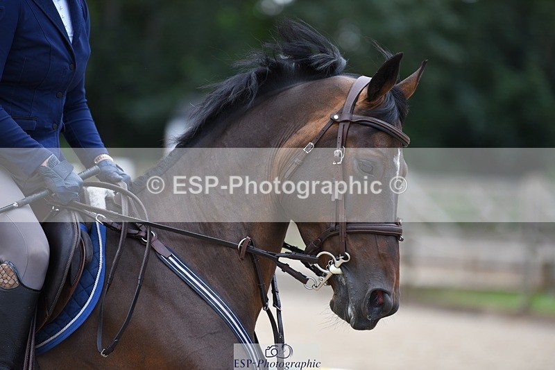 230712-145422-24552 - Cls 56 Discovery & 1m Open