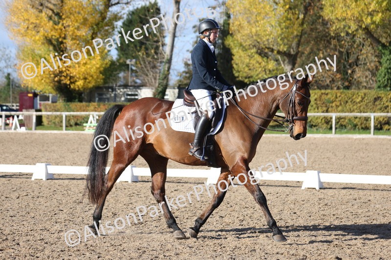 20251102-1006 - Class 5 - Elementary 5