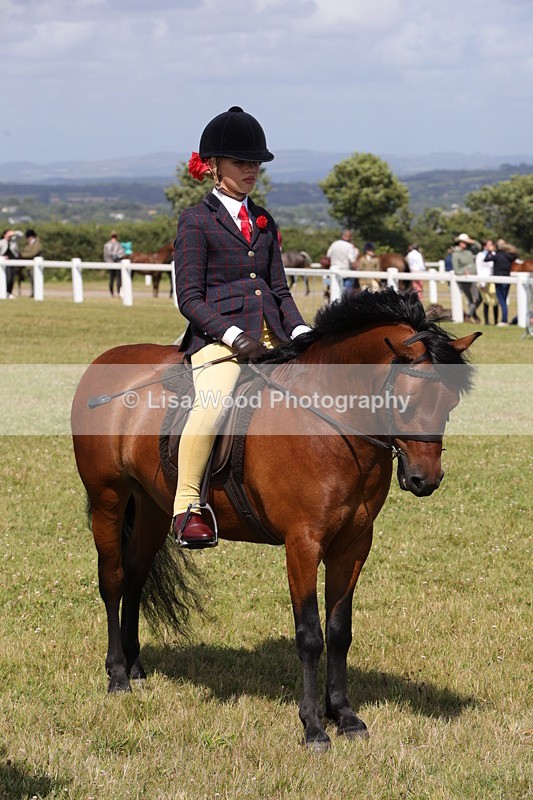 1X9A5443 - Class 37: NPS M&M First Ridden