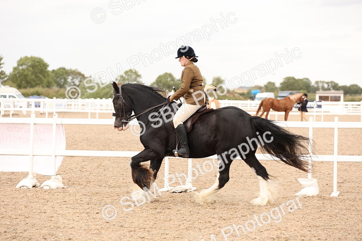 SBM_19696 - Class 216 - Ridden Traditional - Native Cob
