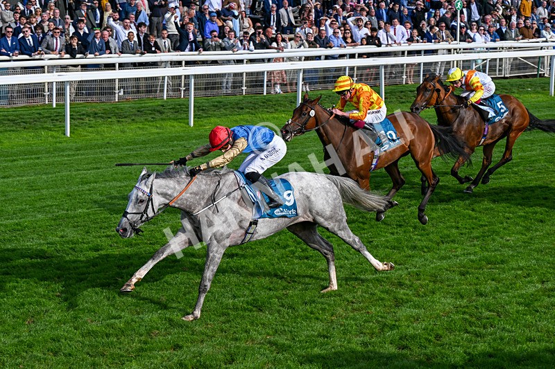 210826-Race 7-Silver Lake-0433 - Race 7 17.20pm Sky Bet EBF Fillies' Handicap