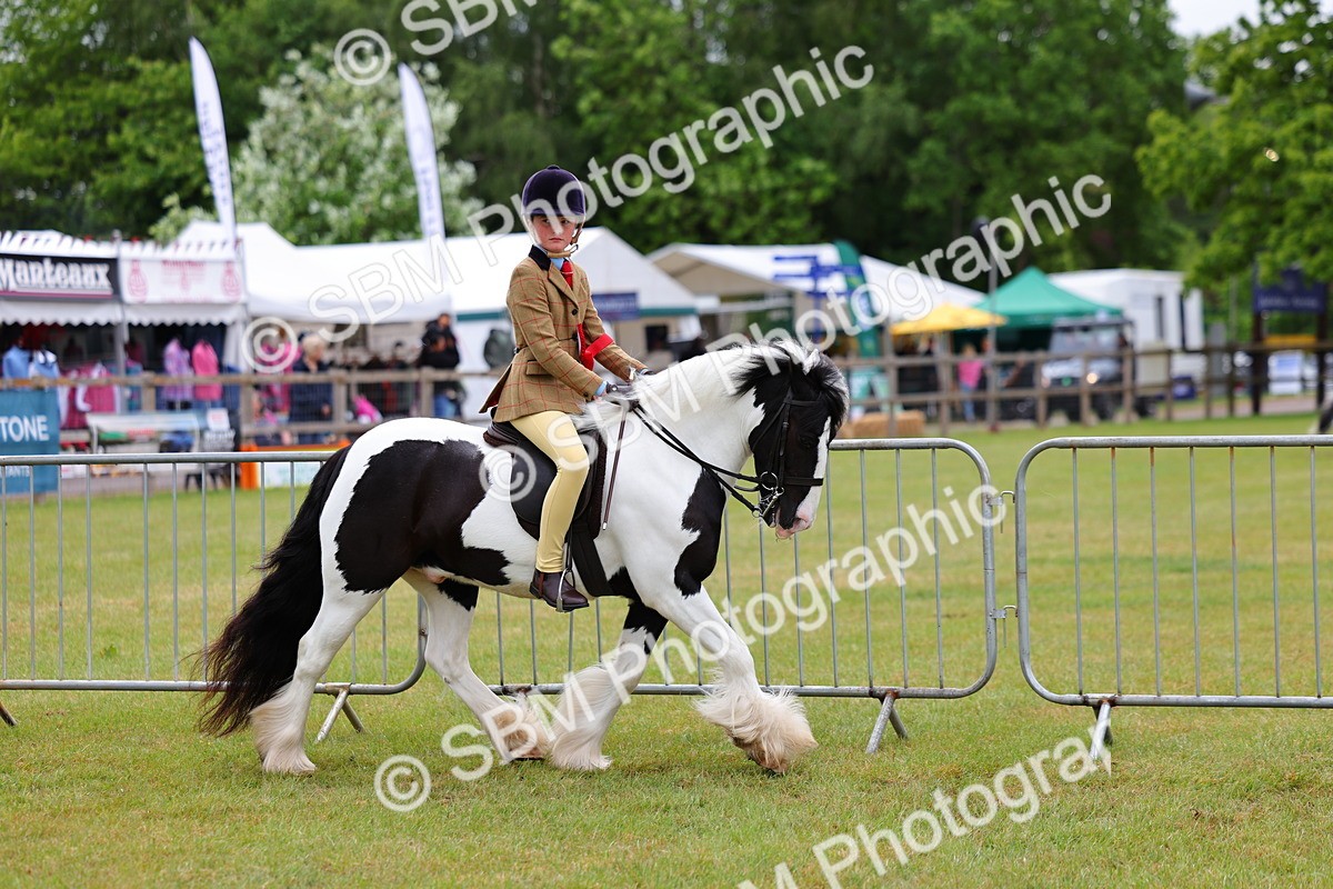 SBM_02604 - Class 9-11 Side Saddle including LIHS Rising Star Ladies Show Horse
