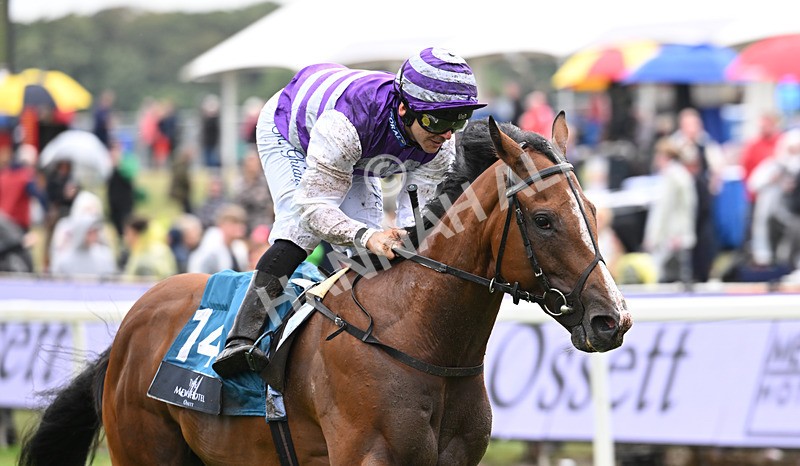 200826-167 Mia Fantasia - Race 6 16.45pm Mews Hotel Ossett EBF Stallions Nursery Handicap