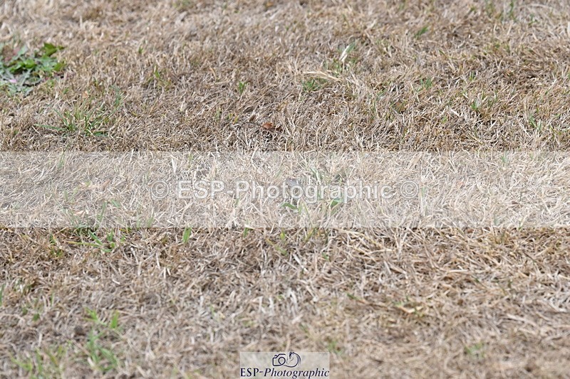 250820A-180349-12480 - Wednesday Presentations