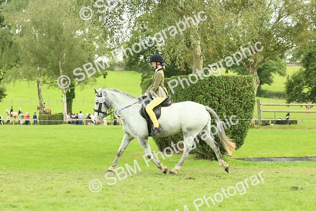 SBM_74046 - S 61 - Show Pony & Show Hunter Pony Ridden