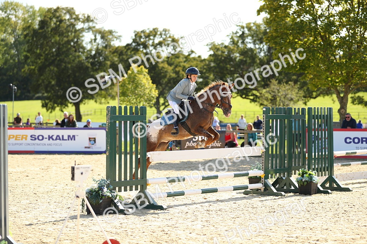 SBM_24336 - J45 - Accumulator 70 80cm