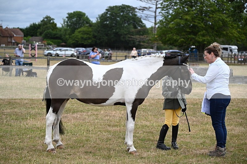 WJ6_4314 - Class 10 Coloured In-hand