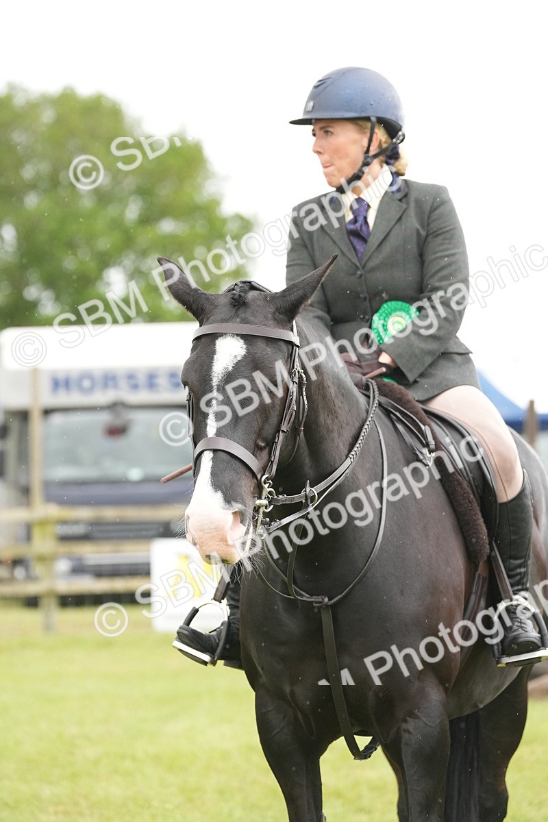 SBM_12818 - Class 97-98 - LIHS BSHA Rising Star Working Show Horse Hunter