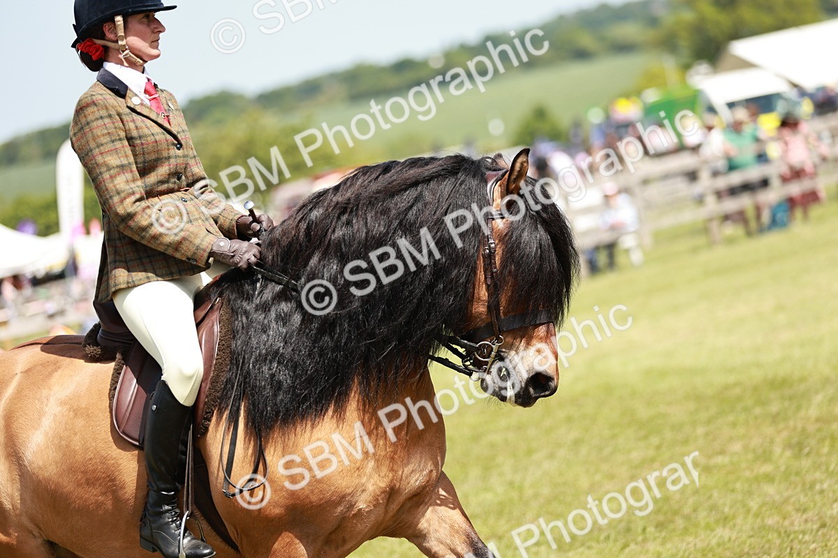 SBM_07103 - Class 26-30 - Mountain and Moorland Ridden