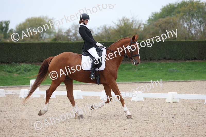 20251011-0570 - Class 4 - Novice 2