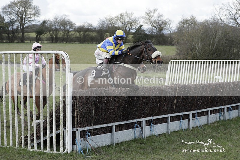 PtP 180323 725 - Shelfield Park Races with Croome & West Warwickshire Hunt  18/03/23