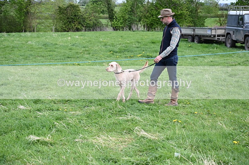 WJ6_8106 - Class 2 Best Pedigree