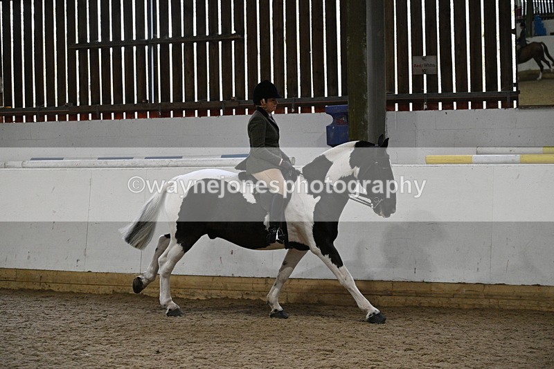 WJ7_3874 - Class 17 Ridden Cob