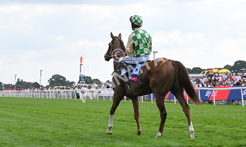 220826-151 Daiquiri Bay - Race 4 15.35pm Sky Bet Ebor Handicap