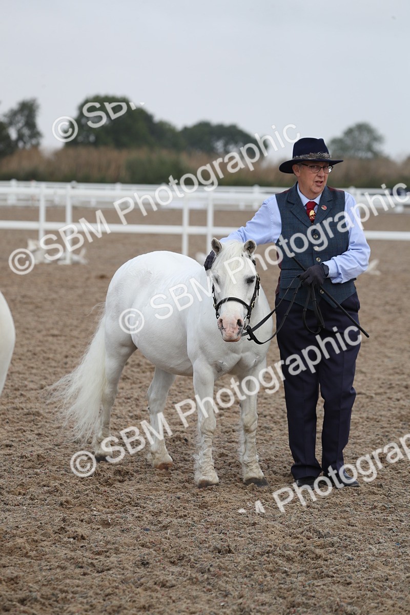 SBM_23122 - Class 605 - 2025 Area - IH Veteran