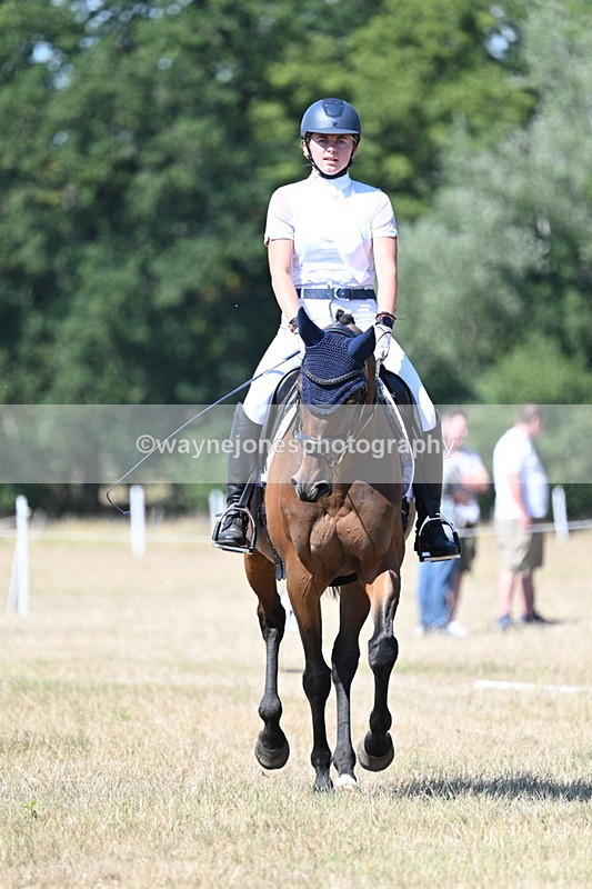 WJ7_1117 - Time 12:34 to 12:47